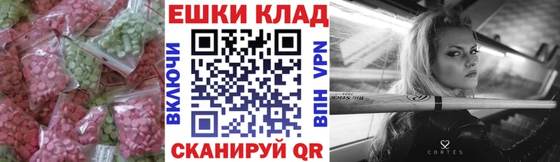 Купить закладки  Бородино  ЭКСТАЗИ Philipp Plein 