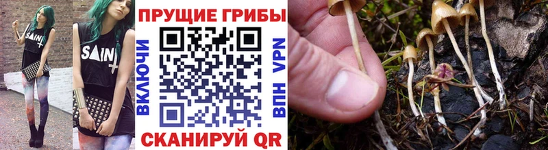 Псилоцибиновые грибы MAGIC MUSHROOMS  Купить где  Бородино 