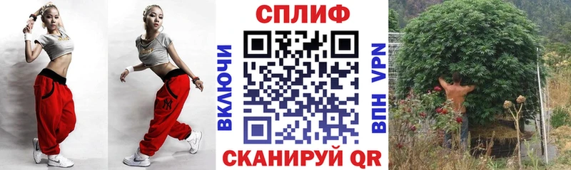Купить где  Бородино  Марихуана семена 